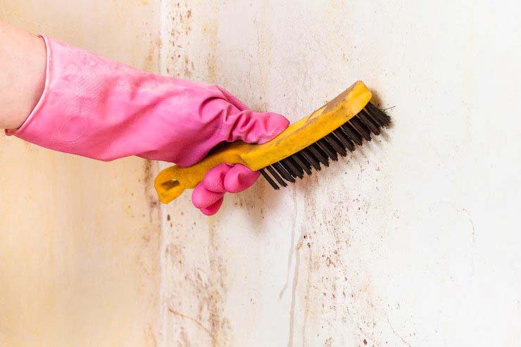 bathroom wall stains removals